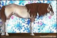 Horse Color:Red Onyx Roan Sabino Splash Rabicano