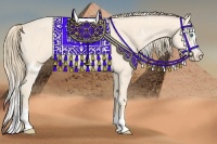 Horse Color:White Spotted Perlino Roan Splash