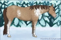 Horse Color:White Spotted Classic Champagne 