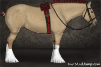 Horse Color:Chocolate Palomino Dun