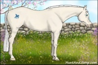 Horse Color:Silver Perlino Dun 