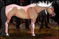 Horse Color:Brown Dun Sabino Tobiano 