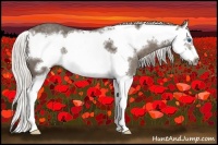 Horse Color:Silver Black Splash Frame 