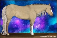 Horse Color:Silver Grullo 