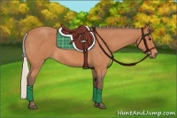 Horse Color:Silver Bay Roan 