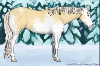 Horse Color:White Spotted Silver Amber Champagne Dun