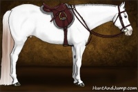 Horse Color:Red Roan Near Leopard 