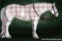 Horse Color:Watercolor Plaid  Perlino Splash 