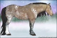 Horse Color:White Spotted Bay Ice
