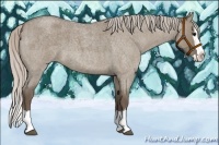 Horse Color:Silver Grullo Roan Splash