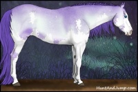 Horse Color:Watercolor Bay Roan Onyx Splash