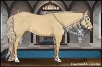 Horse Color:Palomino Dun