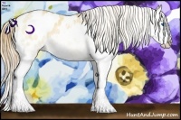 Horse Color:Bay Pearl Dun Splash Appaloosa Rabicano