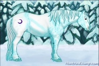 Horse Color:Thunderstruck Watercolor Smoky Black Appaloosa Rabicano 