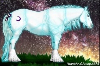 Horse Color:Thunderstruck Smoky Creme Appaloosa