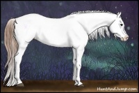Horse Color:Grullo Snowflake Varnish