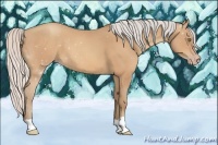 Horse Color:Silver Amber Champagne