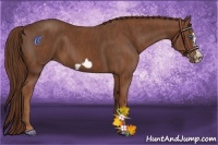 Horse Color:Chestnut Splash Frame Brindle