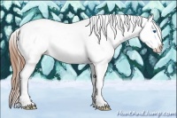 Horse Color:White Spotted Buckskin Splash Frame Appaloosa Rabicano