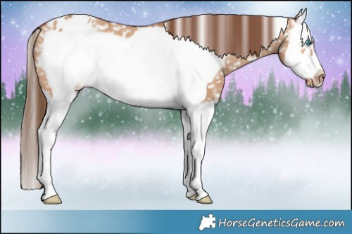 Horse Color:Bay Dun Splash Frame Snowflake Varnish 