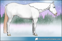 Horse Color:Bay Dun Splash Frame Appaloosa 