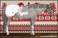 Horse Color:Liver Chestnut Appaloosa