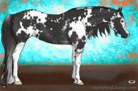 Horse Color:White Spotted Liver Chestnut