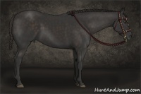 Horse Color:Liver Chestnut Sabino