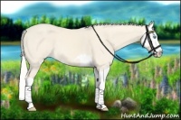 Horse Color:Cremello Splash  and Cremello Splash 