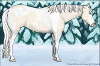 Horse Color:Cremello Splash Tobiano  and Cremello Splash Tobiano 