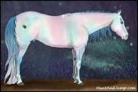 Horse Color:Watercolor White Spotted Bay Chinchilla Roan Pearl Onyx Brindle