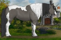 Horse Color:Grullo Splash Tobiano 