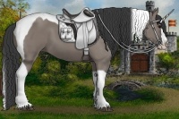 Horse Color:Grullo Splash Tobiano 