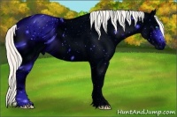 Horse Color:ERROR: UNKNOWN ANOMALY Brindle