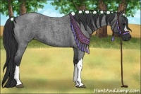 Horse Color:Blue Roan