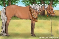 Horse Color:Silver Bay Roan 