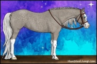Horse Color:Silver Smoky Blue Roan Splash 