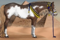 Horse Color:Liver Chestnut Frame 