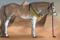 Horse Color:White Spotted Chocolate Palomino Tobiano Rabicano
