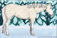 Horse Color:Cremello Splash  Brindle