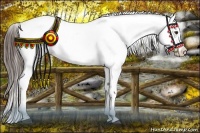 Horse Color:Liver Chestnut Near Leopard