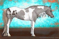 Horse Color:Liver Chestnut Tobiano Appaloosa