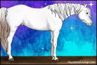 Horse Color:Chestnut Snowcap