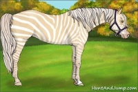Horse Color:Silver Amber Champagne Dun 
