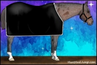 Horse Color:Bay Appaloosa Rabicano