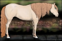Horse Color:Buckskin Pearl and Buckskin Pearl