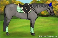 Horse Color:Grullo Roan 