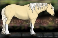 Horse Color:Palomino Dun Tobiano 