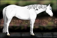Horse Color:Black Sabino Splash Tobiano
