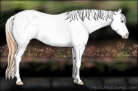Horse Color:Classic Cream Champagne Sabino Splash Tobiano Appaloosa 